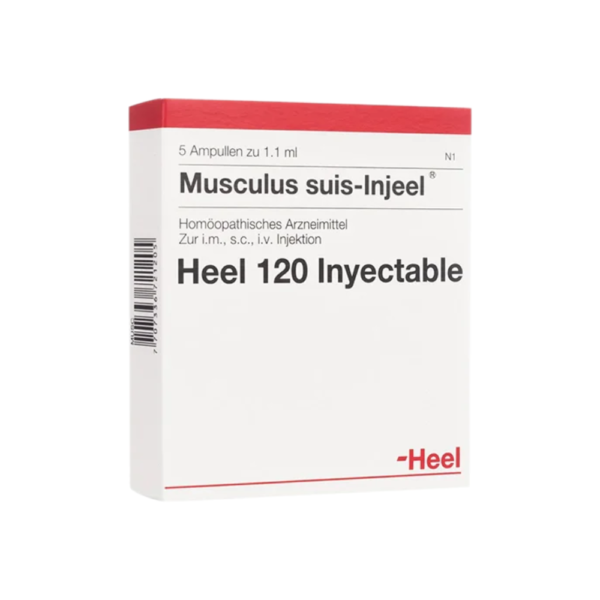 Musculus suis-Injeel | Ampollas | Caja x 5 ampollas